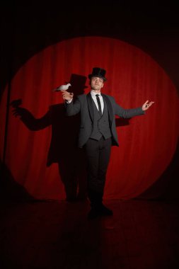 Sahne ışıkları altında kırmızı perdenin üzerinde duran güvercin kuşuyla zarif bir sihirbaz. Sihirbazlık numaraları ve mucize gösterileri