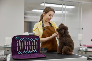 Profesyonel hayvan bakıcısı portresi ve kürk tedavisinden sonra sevimli bir kaniş köpeği. Kadın uzmanı iyi bir saç stili çalışmasından sonra kendini tatmin olmuş hissediyor