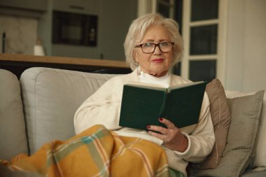 Oturma odasında kareli kanepenin altında kitap okuyan yaşlı bir kadının portresi. Tasasız emeklilik ve hobi gecesi