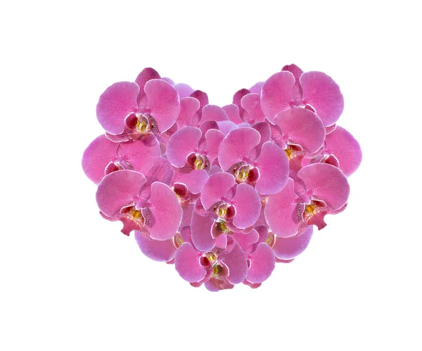 Forma Coração Com Flores Cor Rosa Orquídea Fundo Branco — Fotografia de Stock