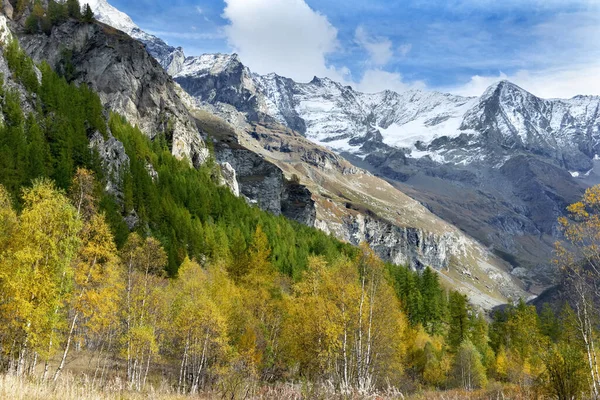 Utsikt Över Vackra Alpina Berg Med Skog Framför Och Topp — Stockfoto