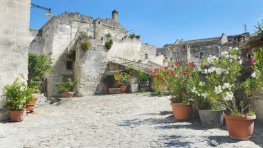 Eski kasabanın küçük meydanı Sassi di Matera 'da saksı bitkisi 