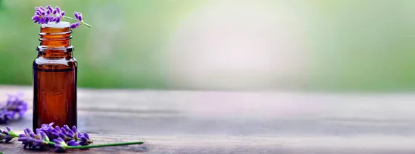 Панорамный Вид Бутылку Эфирного Масла Лавандовые Цветы Кругом Света Центре — стоковое фото