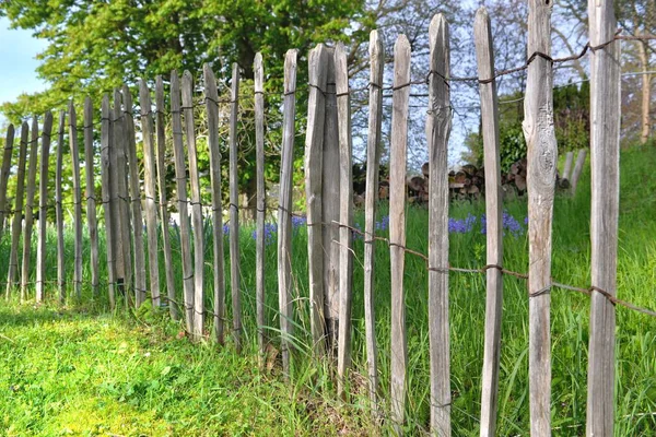 天然木柱中的篱笆保护花园中的一部分草 — 图库照片