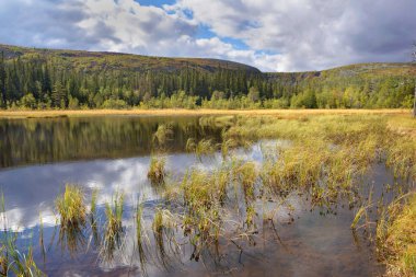 İsveç Milli Parkı 'nda, tepe ve orman arka planlı güzel bir göl manzarası.
