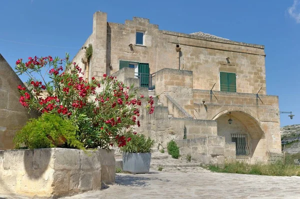 Widok Starego Domu Matera Sassi Kwitnącą Rośliną Pod Błękitnym Niebem — Zdjęcie stockowe