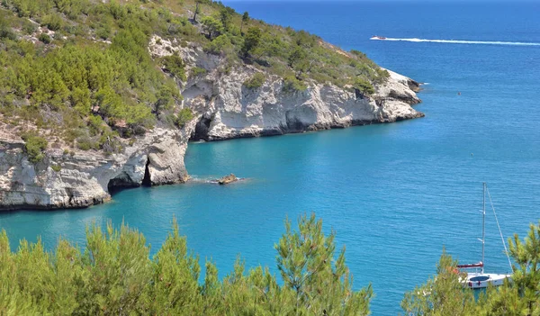 Blick Auf Klippe Mit Grünen Bäumen Einem Türkisblauen Meer Park — Stockfoto