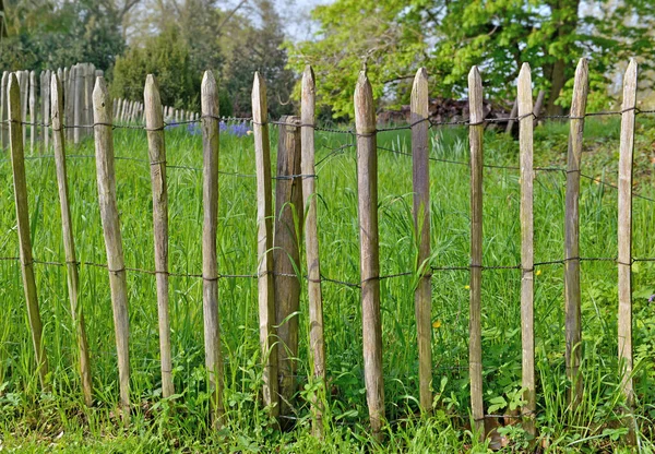 Ogrodzenie Naturalnych Słupach Drewnianych Chroniących Część Trawy Ogrodzie — Zdjęcie stockowe