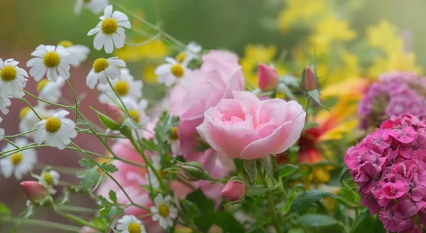 Prety Rose Fresh Bouquet Flowers Picked Garden — Stock Photo, Image