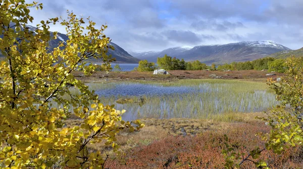 ノルウェーの山を背景に水辺に自生する紅葉植物を眺め — ストック写真