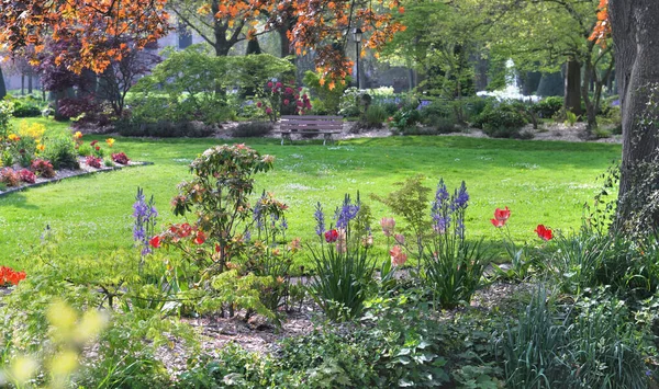 Krásná Veřejná Zahrada Krásnými Jarními Květy Obklopující Trávník Lemované Keřem Stock Obrázky