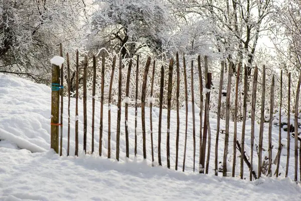 fence posts in front of trees in a snowy garden