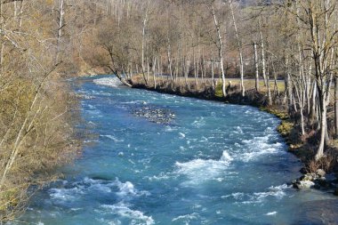 Baharda orman kıyıları arasında akan güzel mavi Alp nehrinin manzarası 