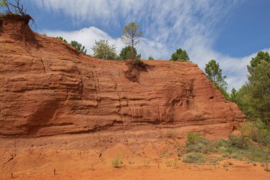 Ochre cliff, Fransa 'daki Luberon' da Colorado Provencal 'daki eski taş ocağındaki ağaçla birlikte. 