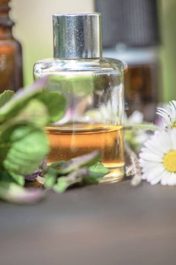 Kapalı bir masa üzerinde taze nane yaprağı ve gerekli yağ ve papatya şişesine yakından bakın. 