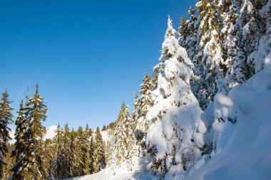 Tarentaise kayak merkezindeki karla kaplı Alp dağları mavi gökyüzünün altında. 
