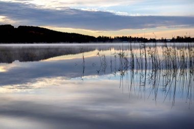 Çimenler gölün içinde suyun dışında, gün batımında sislerin içindeki bulutların yansımasıyla İsveç 'in yüzeyinde toplanıyor. 