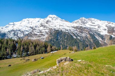 Fransa 'nın tarentaise vadisinde, açık gökyüzünün altında, karla kaplı zirvesi ve yeşil çayırı olan Alp Dağları' nın güzel manzarası.