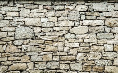 Gri doğal taşlarla kaplı ön manzara arka plan oluşturan canlıları şekillendirdi.