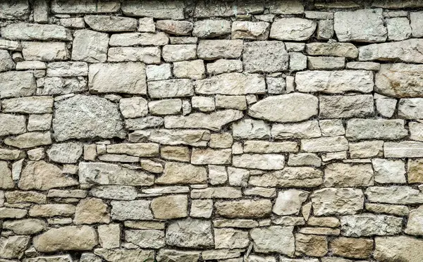 Gri doğal taşlarla kaplı ön manzara arka plan oluşturan canlıları şekillendirdi.