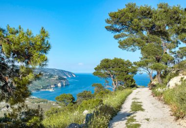 İtalya 'da Apulia' da denize bakan Akdeniz çamı ile tepelerde izler