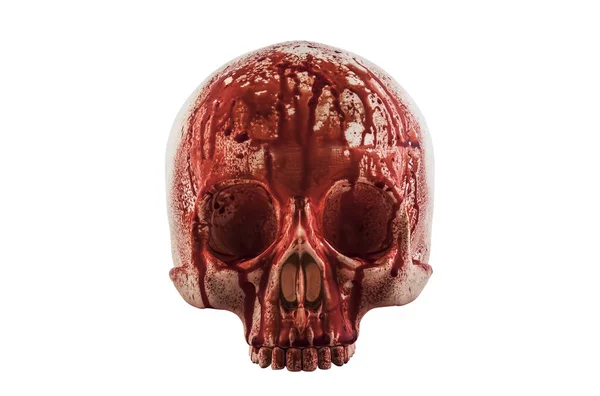 血液中のヒトの頭蓋骨は クリッピングパスを持つ白い背景に隔離された — ストック写真
