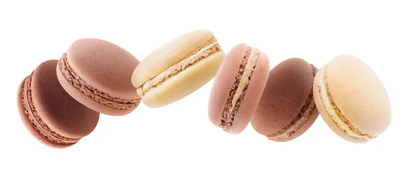 Macaroons Different Shades Brown Levitation Isolated White Panorama — Stock Photo, Image