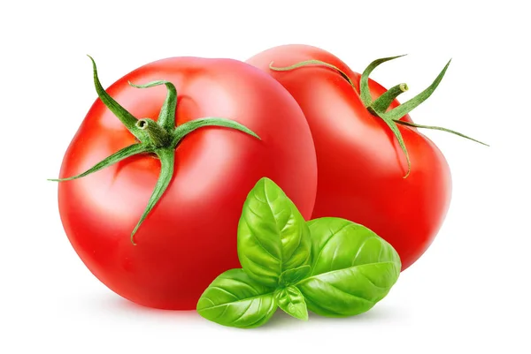 Två Tomater Och Basilika Isolerad Vit Bakgrund — Stockfoto