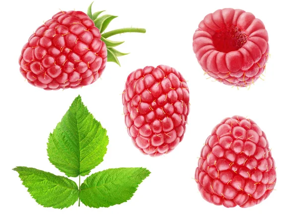 Collection Isolated Raspberry Fruits Isolated White Background Stock Picture