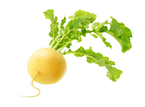 One Yellow Turnip Leaves Isolated White Background — Stock Photo, Image