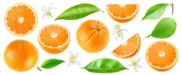 Kolekcja Ciętych Owoców Pomarańczy Liści Kwiatów Izolowanych Białym Tle — Zdjęcie stockowe