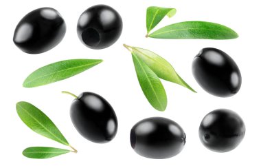 Beyaz arka planda izole edilmiş siyah taze zeytin ve zeytin yaprakları koleksiyonu