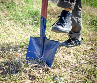 Güneşli bir günde çimenli bir tarlada kürekle kazmak.