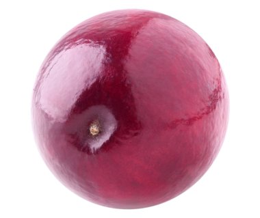 Beyaz arkaplanda yaban mersini izole edilmiş