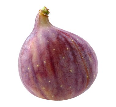 Mor çiğ incir meyvesi beyaz arkaplanda izole