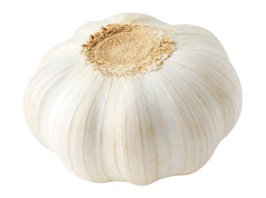 Bir baş sarımsak beyaza izole edilmiş.