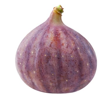 Beyaz arka planda izole edilmiş bir çiğ incir meyvesi