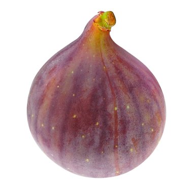 Beyaz arka planda izole edilmiş bir taze incir meyvesi