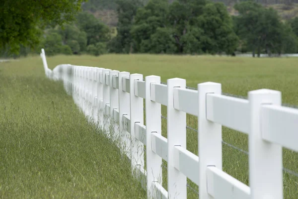オークの木と草の牧草地の白い柵 — ストック写真