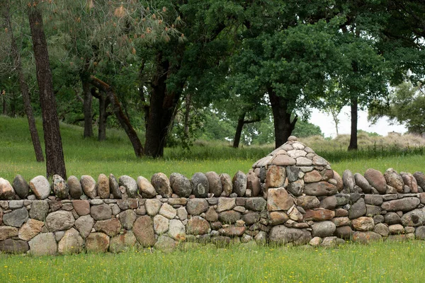 Detailní Kamenná Zeď Obklopená Trávou Duby — Stock fotografie