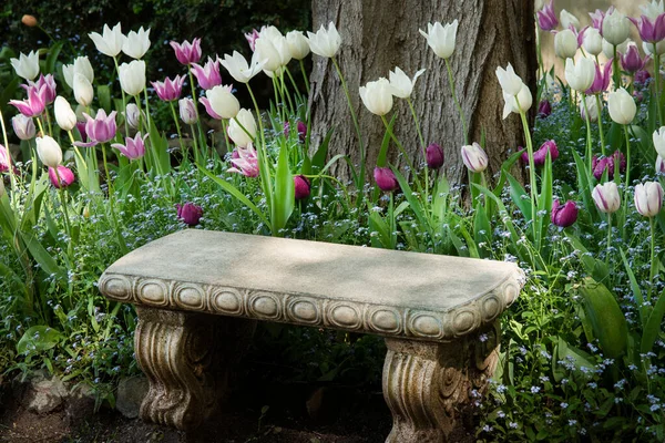 Bonito Lugar Sombreado Para Sentarse Jardín Rodeado Tulipanes —  Fotos de Stock