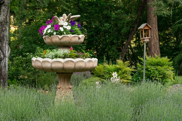 用一个喷泉当花坛 可爱的花园布置 — 图库照片