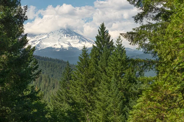 Vista Del Monte Shasta Tomada Desde Parque Estatal Castle Crags — Foto de Stock
