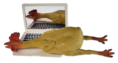Rubber chicken on computer showing online jokes clipart