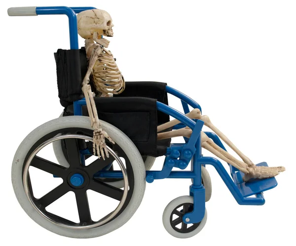 Squelette Assis Dans Fauteuil Roulant Bleu Pour Déplacer — Photo