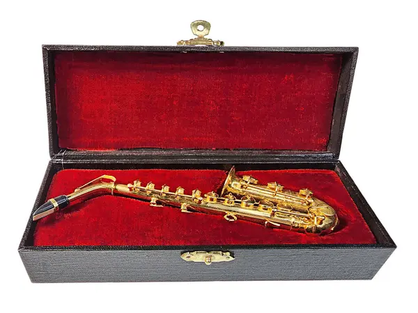 Saxofón Latón Para Tocar Música Estuche Con Terciopelo Rojo Fotos de stock libres de derechos