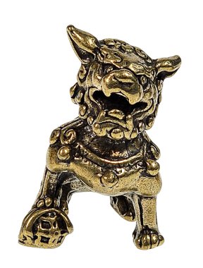 Erkek bir köpeğin ön görüntüsü.