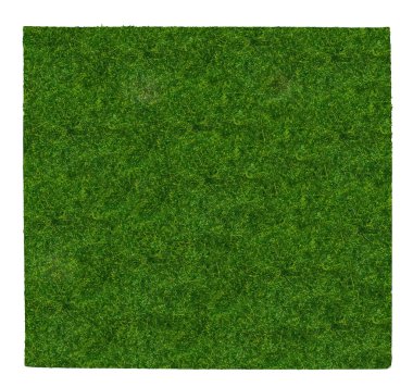 Bir parça yeşil çimen büyüyor.