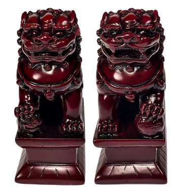 Dişi ve Erkek Foo köpeğinin ön görüntüsü