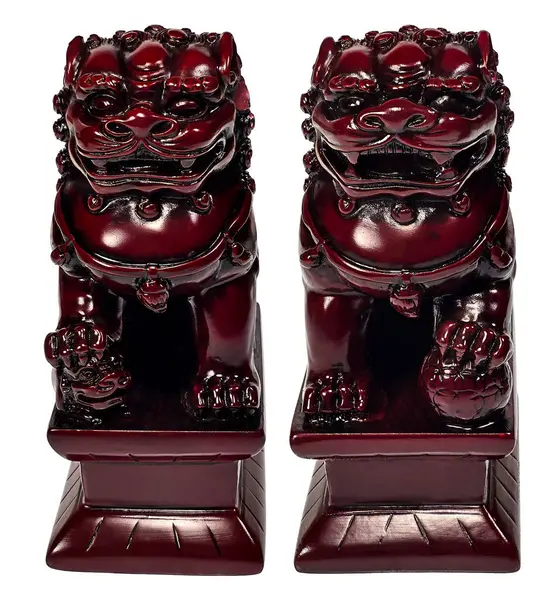 Dişi ve Erkek Foo köpeğinin ön görüntüsü